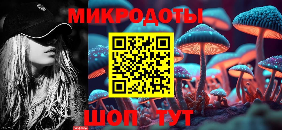 хочу   Псилоцибиновые грибы Psilocybine cubensis  Новозыбков  Вход с VPN  Псилоцибиновые грибы GOLDEN TEACHER 