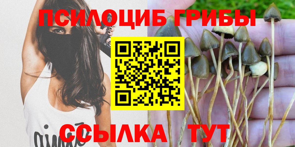Псилоцибиновые грибы ЛСД Новозыбков